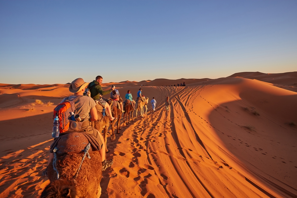 Tourists,Riding,Camels,,Smiling,,In,The,Sahara,Desert,,Morocco.